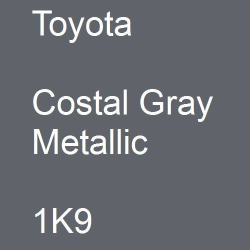 Toyota, Costal Gray Metallic, 1K9.